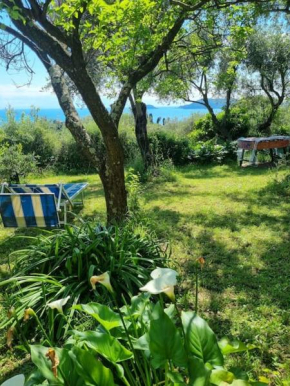 Patty's Cottage Lerici
